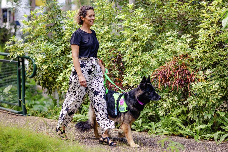 A CQU staff member walks through campus with a support dog.