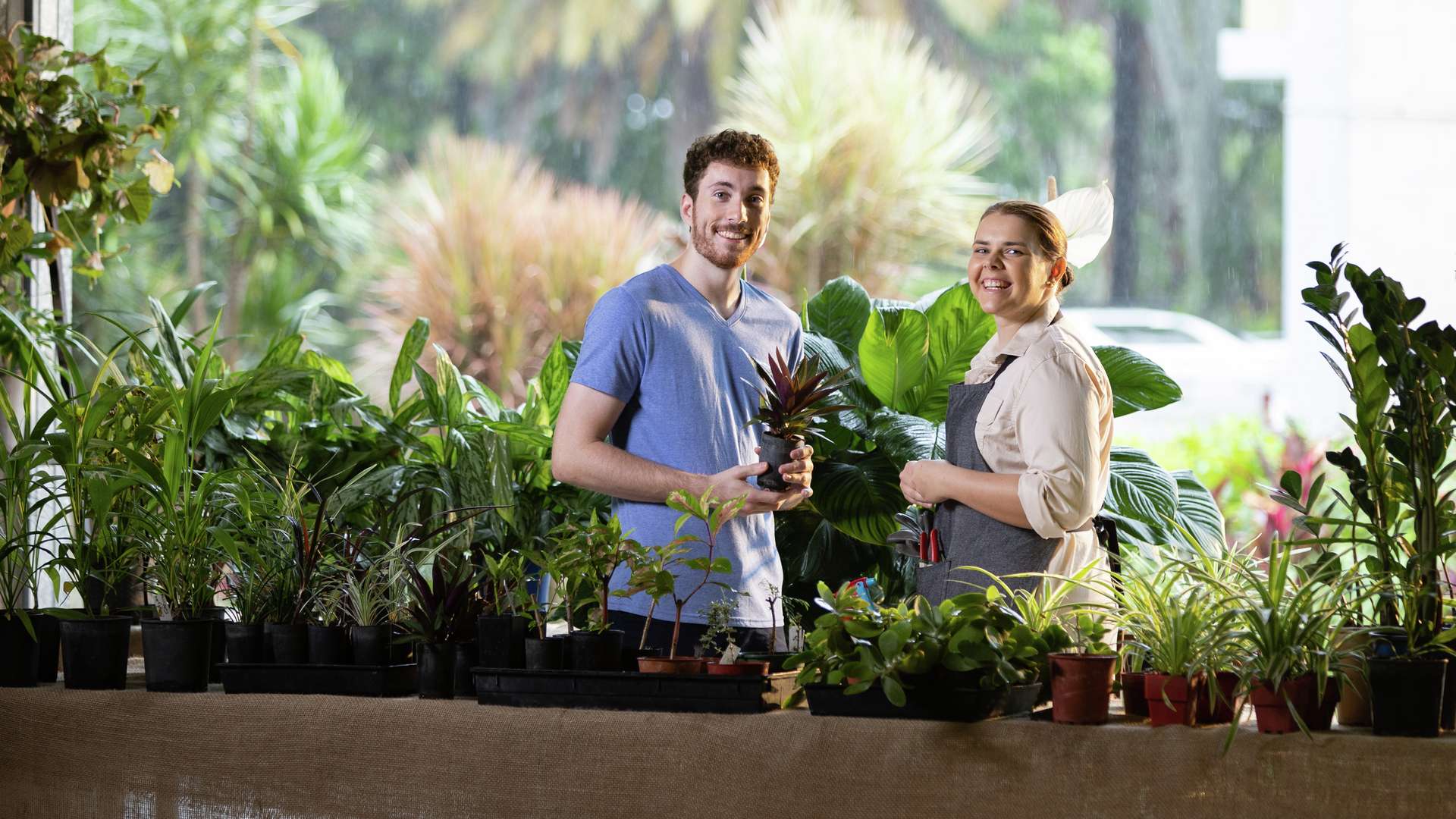 CQU Horticulture students work in a nursery learning about a range of plants and how to care for them.